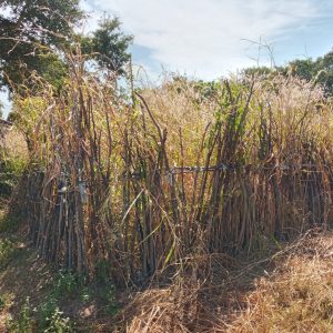 20201107_104533