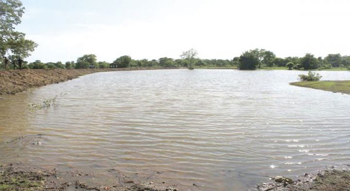 Rain Water Catchment / Irrigation Design
